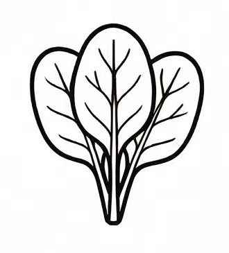 a black and white drawing of a leaf 1.webp